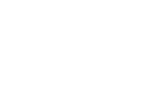 Party Icon